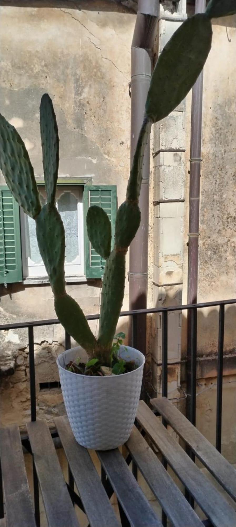 Residenza Donnafugata B&B Ραγκούσα Εξωτερικό φωτογραφία